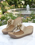 Ariella | Sandals for Women